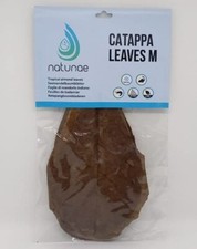 - Feuilles de Catappa Badamier