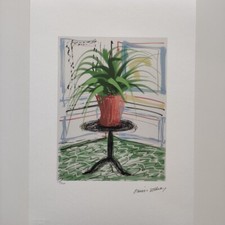 Signé David Hockney - Plante