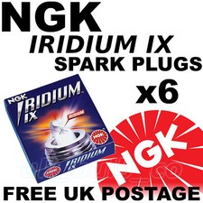 6x NGK Iridium Extension