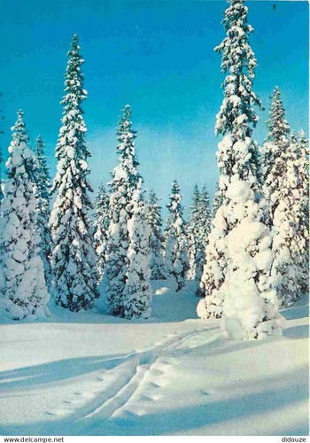 Carte postale finlande - carte,