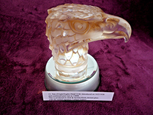 Tête aigle eagles head - tête, d'aigle/eagles
