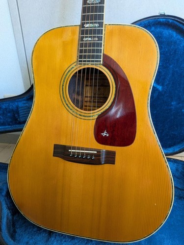Takeharu 400 guitar 1976 - takeharu,