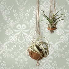 Papier Peint Damassé Vert Sauge Noeuds Fleurs 14170 Holden Mural