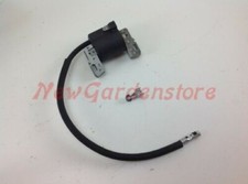 Bobine D'Allumage Briggs