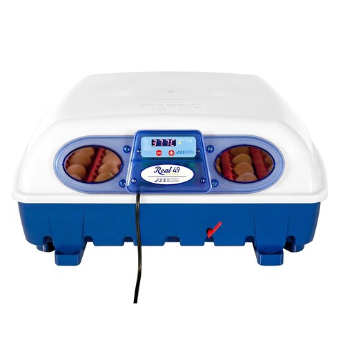 Borotto real incubateur - real,