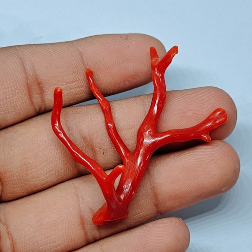 Branche polie corail rouge