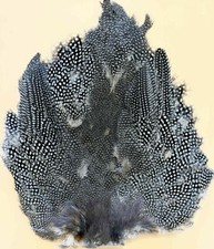 Plume de Corps de Pintade, peau, couleur naturelle, Montage de Mouches, Arts