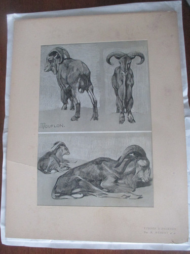 Mathurin méheut planche - mathurin,