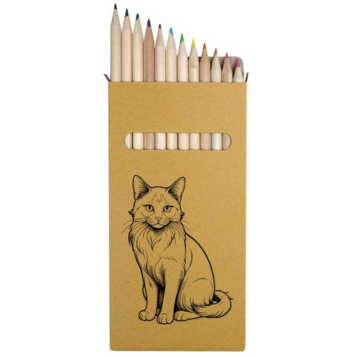Neva masquerade cat - x,