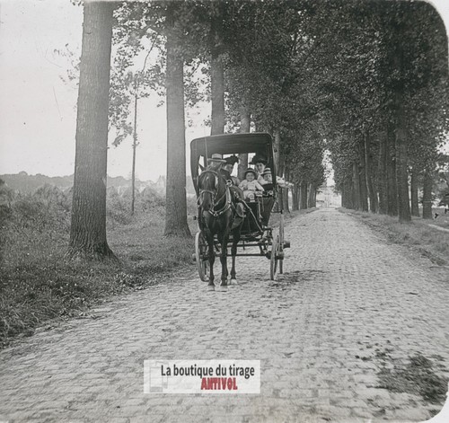 Famille voiture hippomobile - voiture,