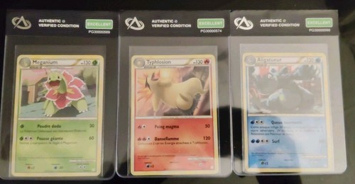 Lot aligatueur typhlosion - lot,