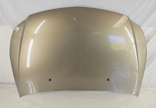 71742873 capot avant fiat - capot,