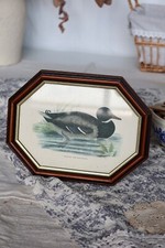 Cadre vintage canard – Illustration naturaliste - Cadre octogonal bois et doré