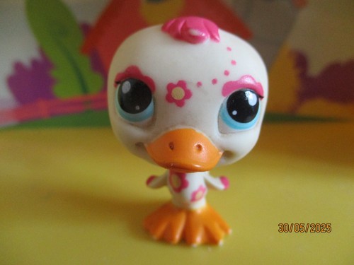 Petshop canard 2167 version - petshop,
