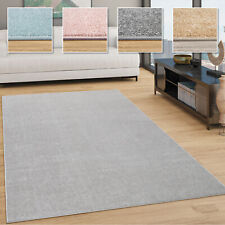 Tapis Salon Uni Sobre Et Moderne Poils Ras, Diff. Tailles/Coloris