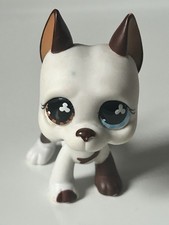 petshop LPS littlest pet shop chien dog argentin 577