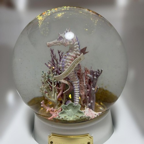 Christian dior seahorse snow - christian,