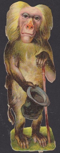 Decoupi ancien chromo - ancien, singe