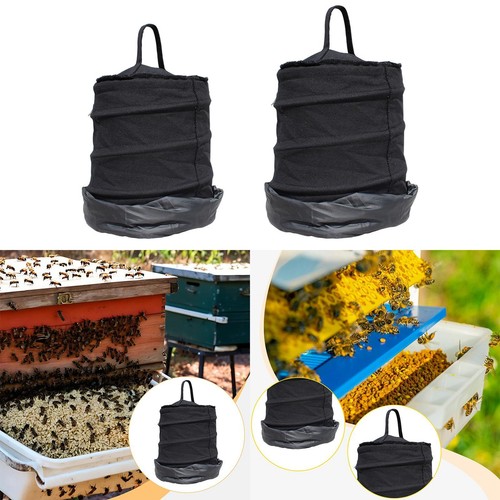 Essaim abeilles cage - essaim,
