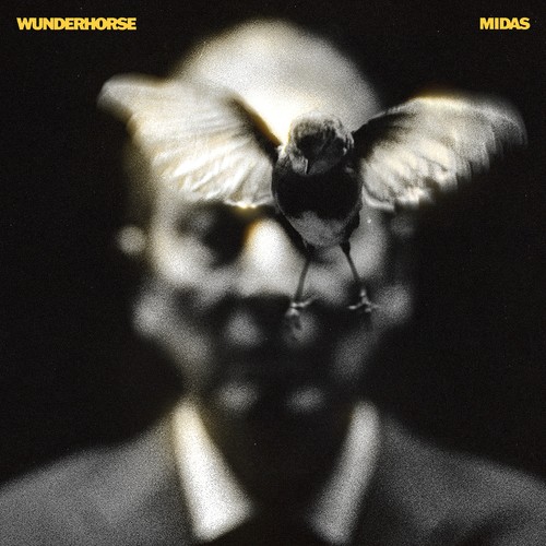 Wunderhorse midas - wunderhorse,