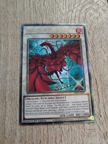 Dragon rose noire - yu-gi-oh!,