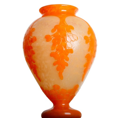 Vase dattier le verre - dattier, 31
