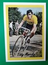CYCLISME carte cycliste EDDY