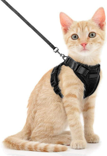 Harnais réglable pour - réglable, chats