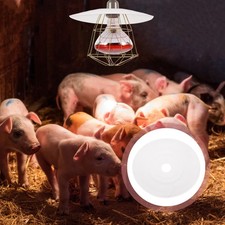  Lampe Chauffante Pour
