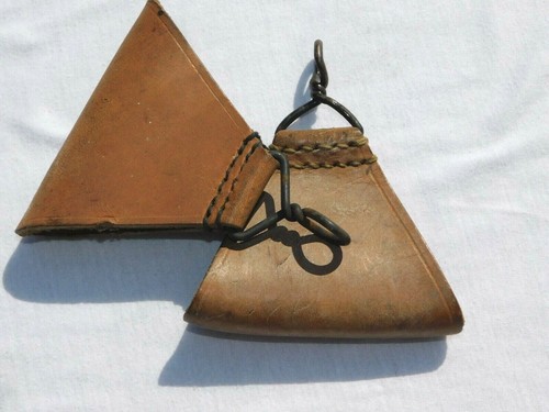 Triangle trapeze dorsal - triangle,