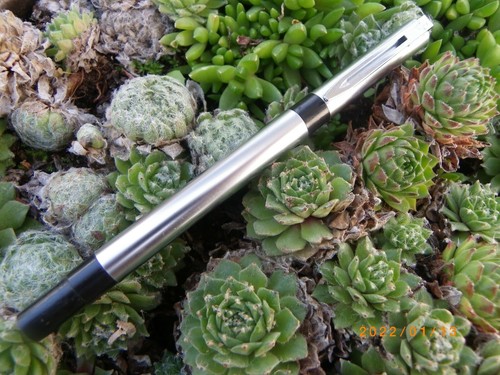 Stylo roller waterman laureat - stylo,