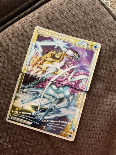 Pokémon double carte raikou - carte,