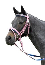 Bride Anglais Pony Cuir Avec