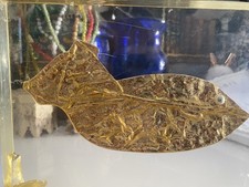 Sculpture Signée Dans Plexiglass Roger Bezombes