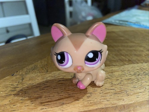 Petshop chat sphynx 1584 - chat, n°1584