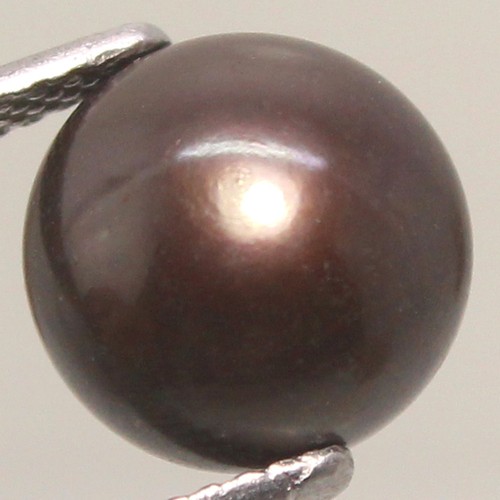 Véritable perle tahiti - véritable,