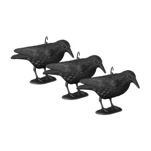 Epouvantail pigeon - epouvantail,