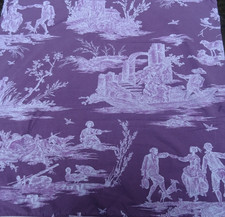 Coupon Tissu de Toile de Jouy