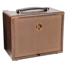 Ampli guitare accoustique 45w - guitare,