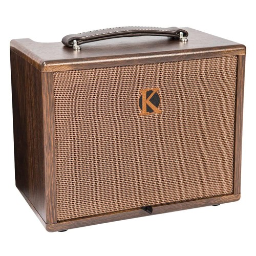 Ampli guitare accoustique 45w - accoustique,