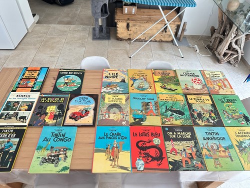Super lot tintin - bd,