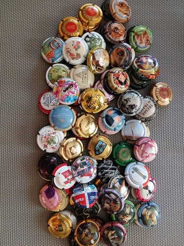 Capsule champagne lot de - de,