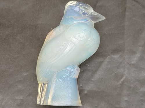Oiseau pivert verre opalescent - oiseau,