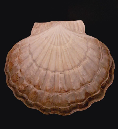 Plat céramique vallauris - plat, en