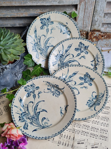 Anciennes assiettes terre de - 4,