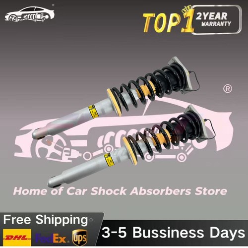 Rear shock struts - rear, fit