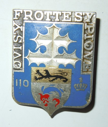 Insigne 110 regiment - insigne, 110°