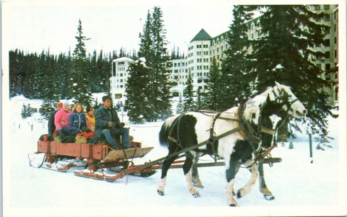 Vintage postcard nachtreiher - vintage,