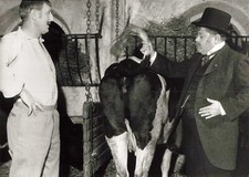 PHOTO PRESSE TÉLÉVISION FILM LA JUMENT VERTE