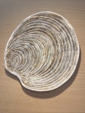 Assiette Coquille Guillot Avec Un Éclat